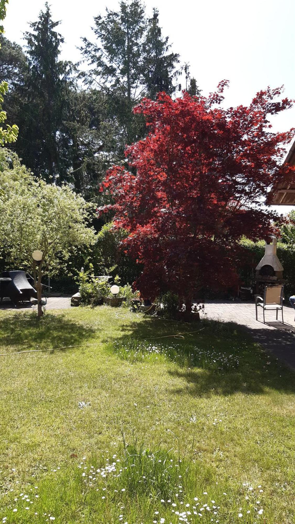 אורניינבורג Ferienwohnung Luise, Gemuetlich, Freundlich Und Ganz Nah An Berlin מראה חיצוני תמונה