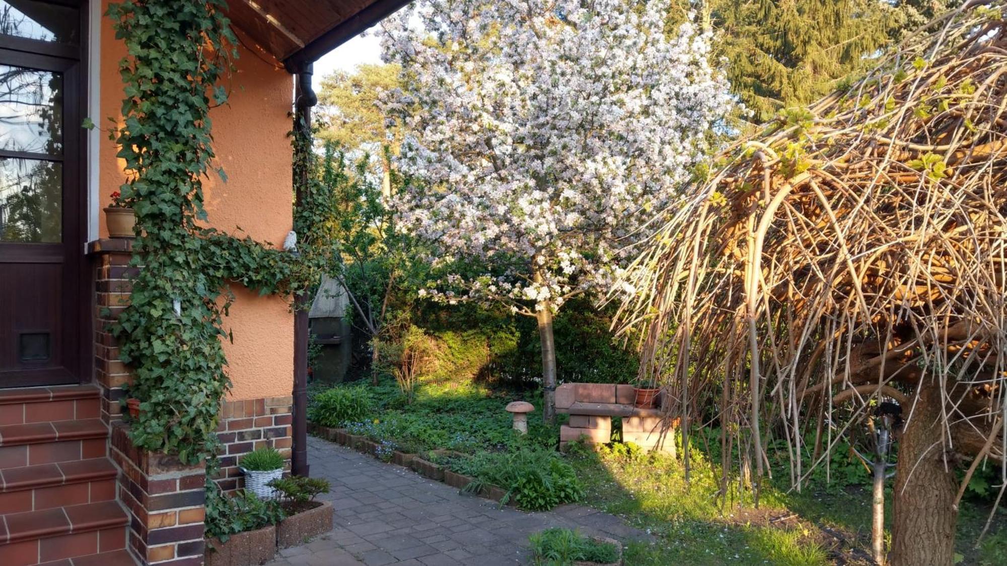 אורניינבורג Ferienwohnung Luise, Gemuetlich, Freundlich Und Ganz Nah An Berlin מראה חיצוני תמונה